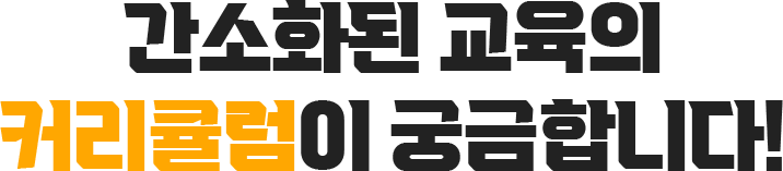 간소화된 교육의 커리큘럼이 궁금합니다!
